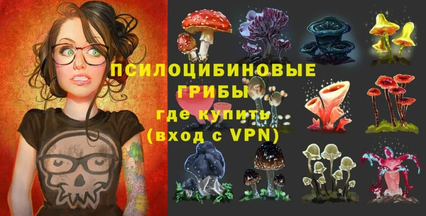 метадон Гусев