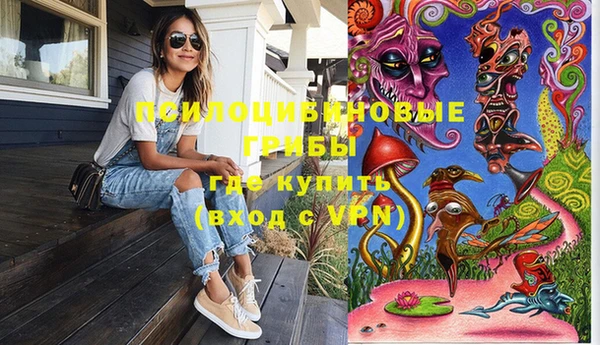 метадон Гусев