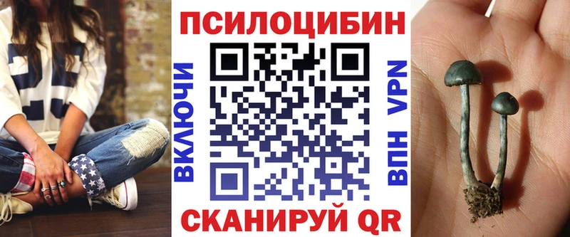 Галлюциногенные грибы Cubensis  где продают наркотики  Звенигород 