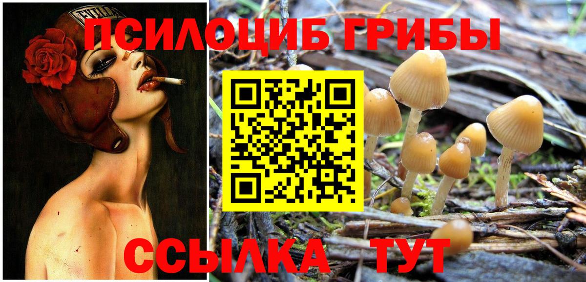Псилоцибиновые грибы мицелий Звенигород