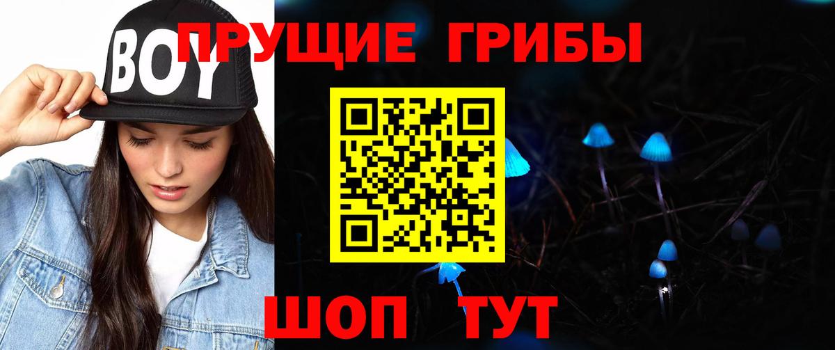 Псилоцибиновые грибы мухоморы  Вход с VPN  Звенигород 